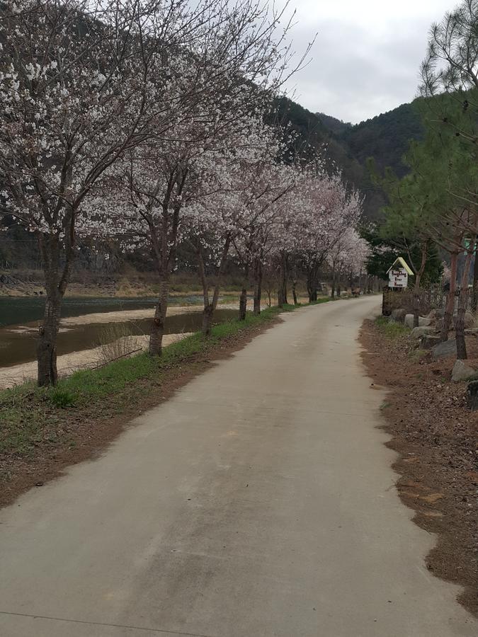Pyeongchang River House Exterior photo